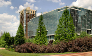 Professional Commercial Tree Services in North Georgia