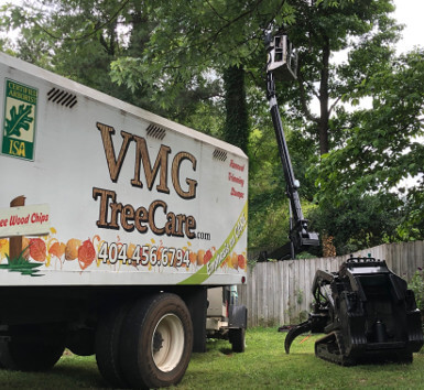 Tree removal in Roswell neighborhood