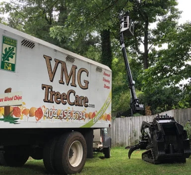 Tree removal in Woodstock neighborhood