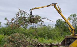 Clearing debris with heavy machinery
